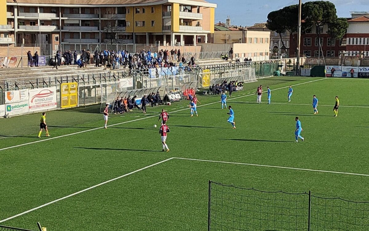 Vigor Senigallia Pineto