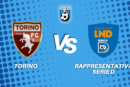 torino rappresentativa serie d diretta tabellino