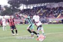 Palmese