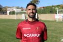 porcino reggina