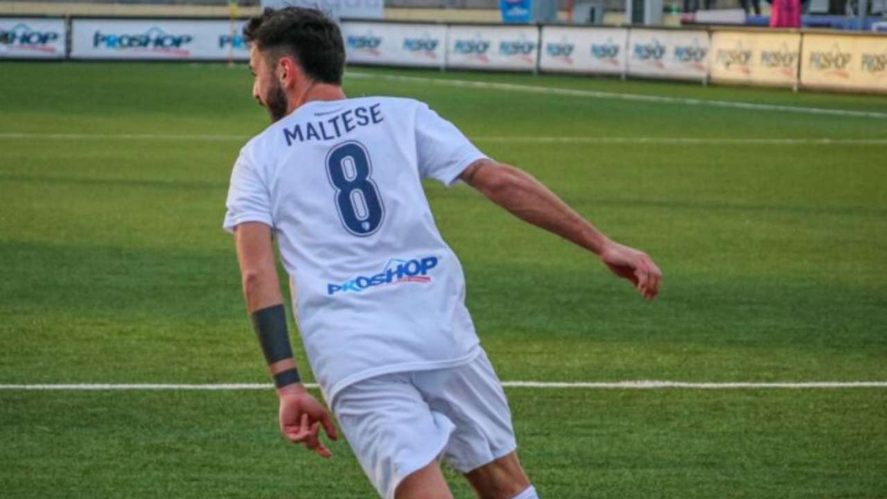 https://www.seried24.com/wp-content/uploads/2024/06/maltese-cerignola.jpg
