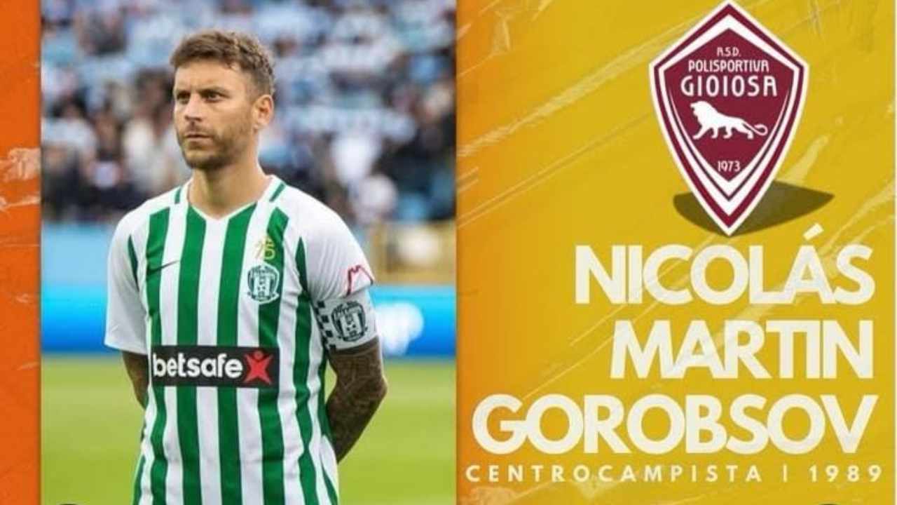 https://www.seried24.com/wp-content/uploads/2025/08/Gorobsov.jpg