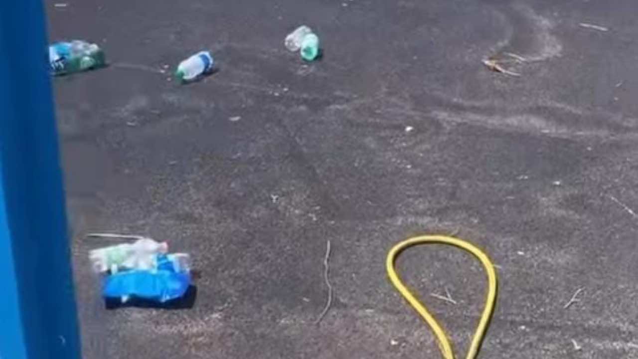 https://www.seried24.com/wp-content/uploads/2025/08/vandali-terracina.jpg