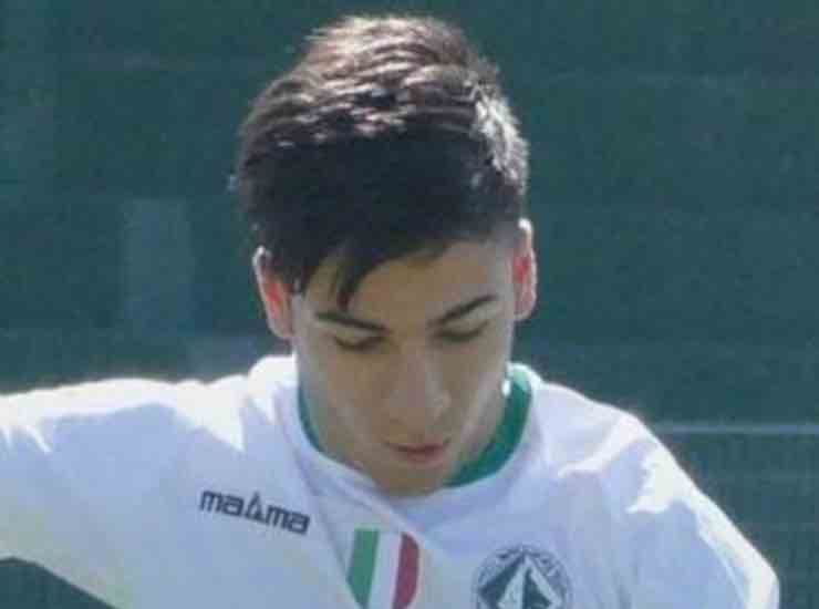 parisi serino