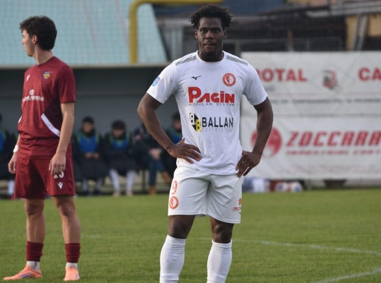 Djoulou Campodarsego interna