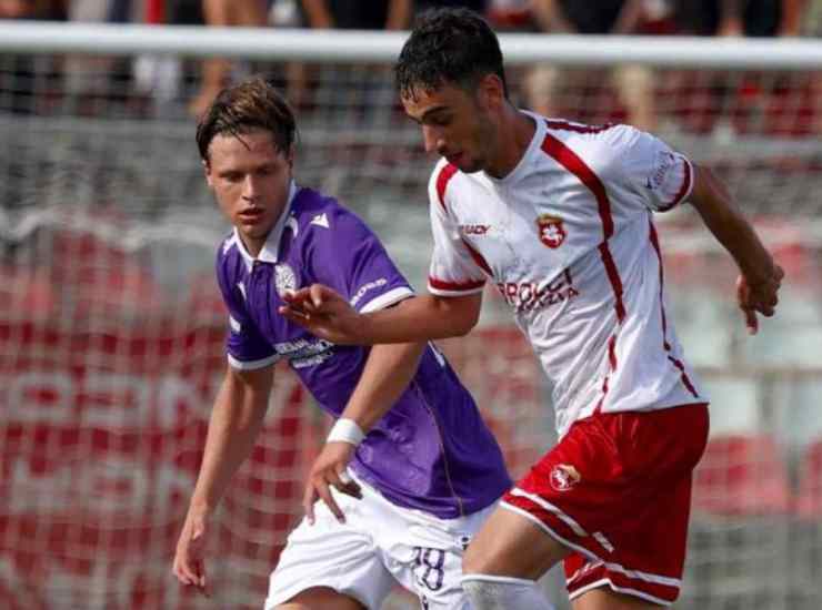 Ostiamare Ancona diretta